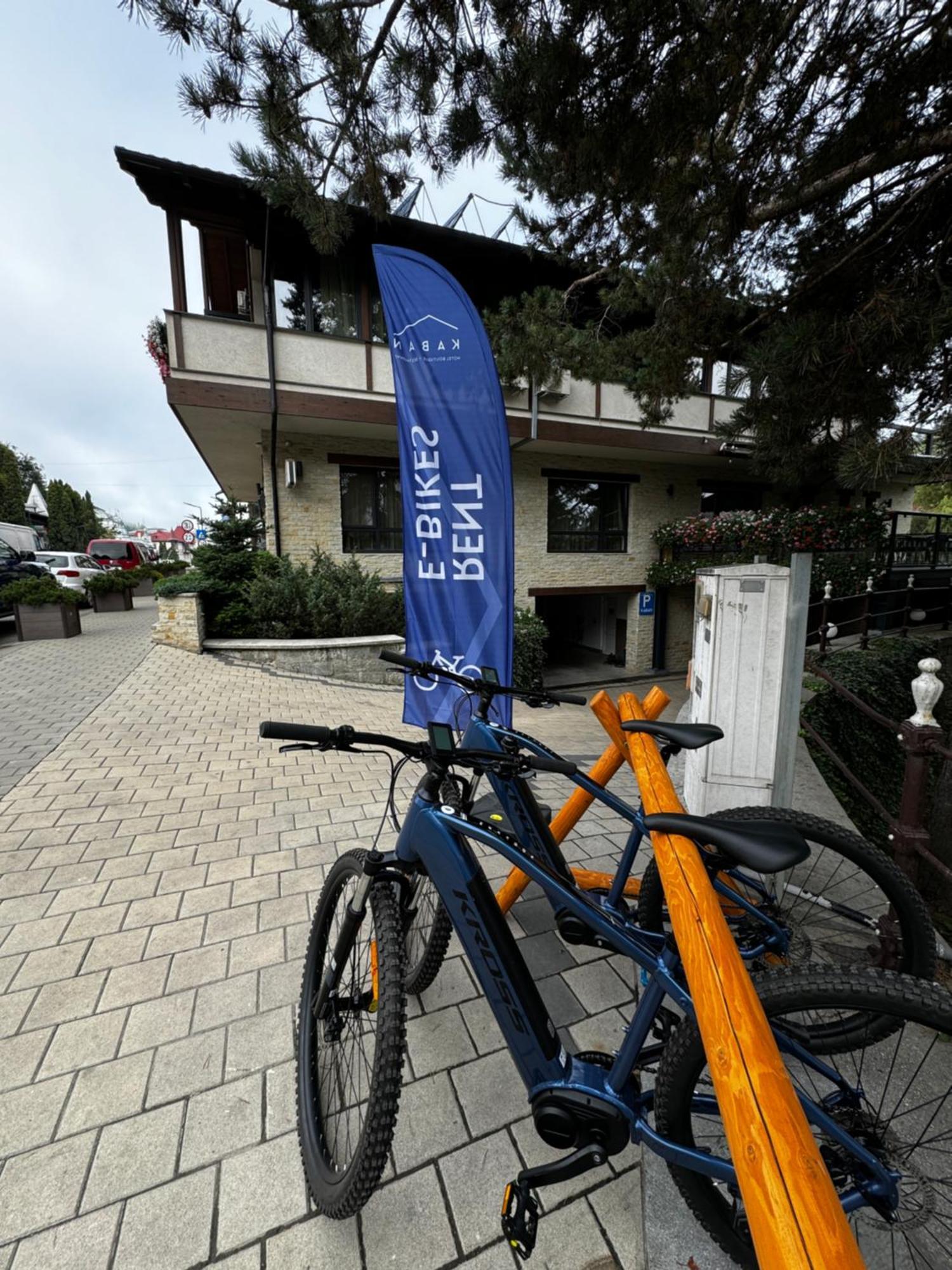 Kaban Boutique - 5Star Central Villa In Dornavátra Kültér fotó