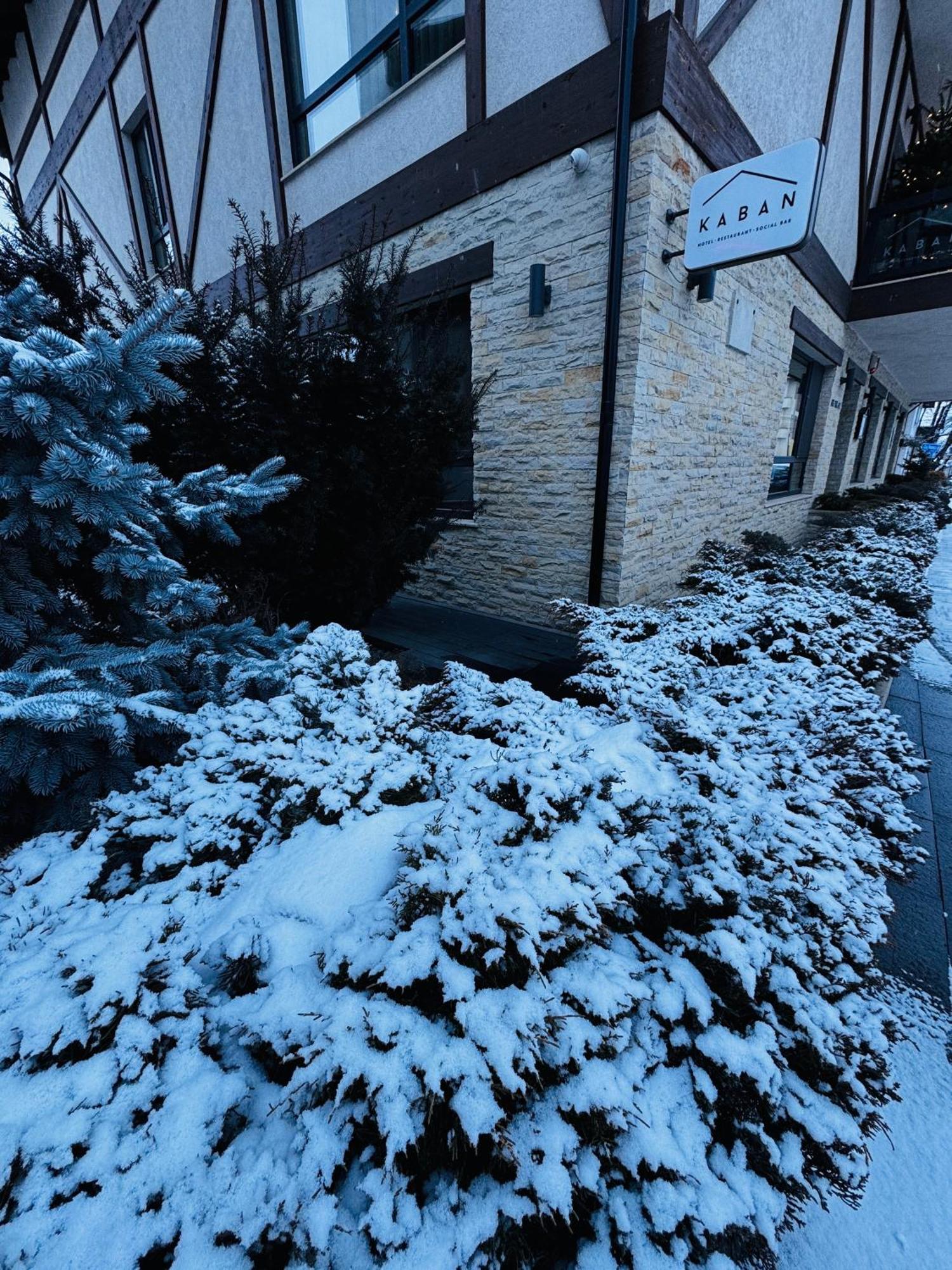 Kaban Boutique - 5Star Central Villa In Dornavátra Kültér fotó